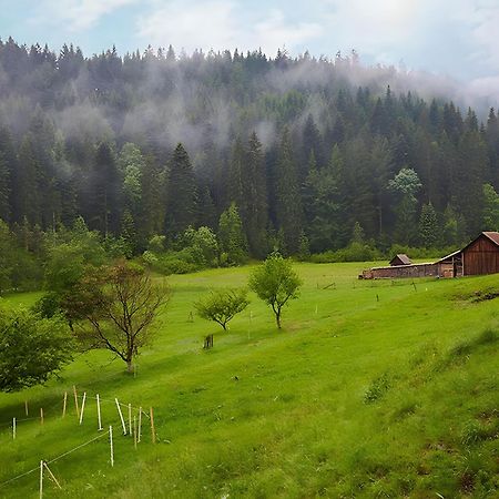 Haus Am Kaltenbach Енцклестерле Екстер'єр фото