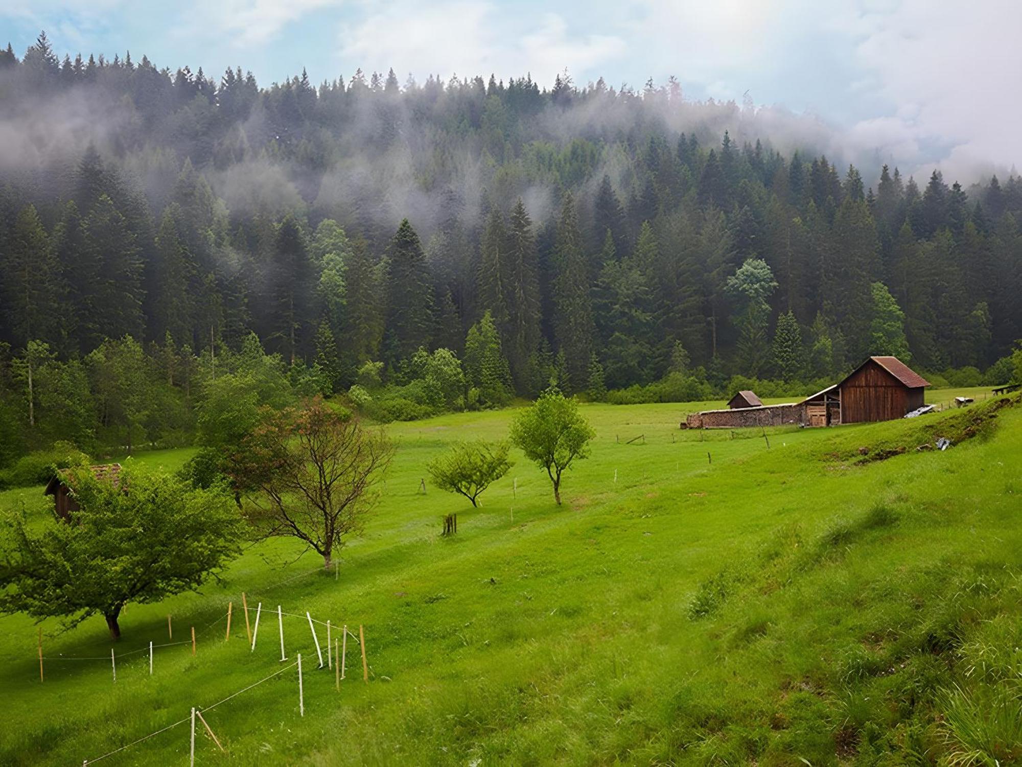Haus Am Kaltenbach Енцклестерле Екстер'єр фото